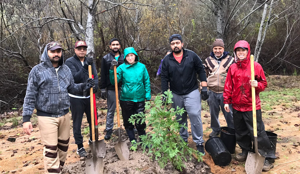 californias-10-dec-2016-tree-plantation-drive