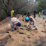 Californias-10-dec-2016-tree-plantation-drive_3