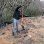 californias-10-dec-2016-tree-plantation-drive_5