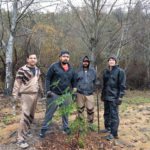 californias-10-dec-2016-tree-plantation-drive_7